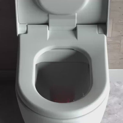 PURE-D geurloze toiletbril